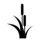 images-fotor-20230804131526